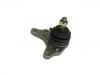  Ball Joint:43350-39125