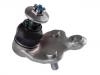  Ball Joint:43330-49055