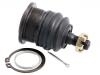  Ball Joint:43350-22050